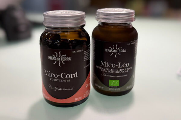 FUNGHI MEDICINALI: UN TESORO DELLA NATURA PER LA NOSTRA SALUTE